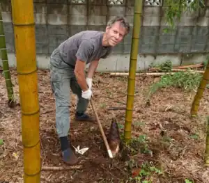 Grant - OldDogZeroTricks - digging takenoko