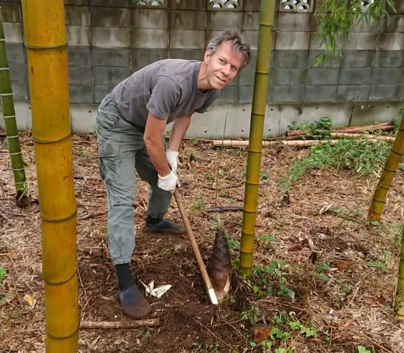Grant - OldDogZeroTricks - digging takenoko in Japan. Not your usual Instagram glam.
