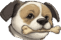 Old Dog Zero Tricks head