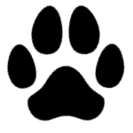 Dog paw print pointing upwards